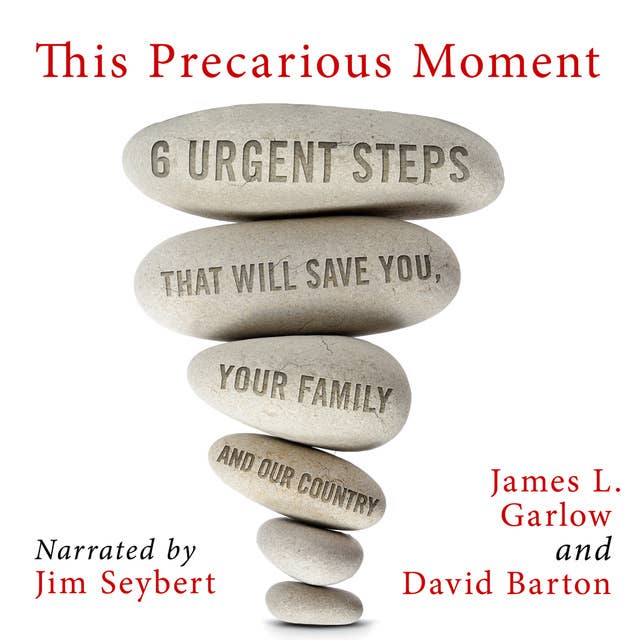 This Precarious Moment: Six Urgent Steps that Will Save You, Your Family, and Our Country