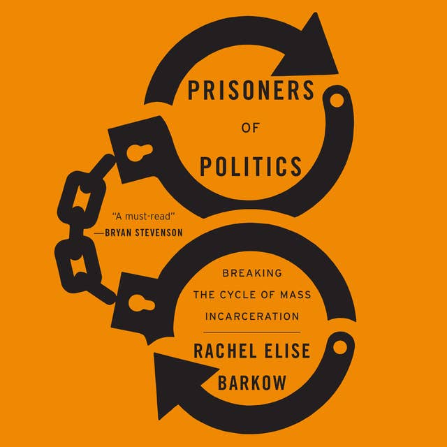 Prisoners of Politics: Breaking the Cycle of Mass Incarceration