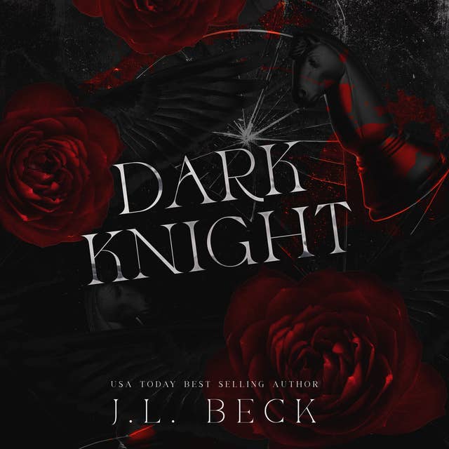 Cover for Dark Knight