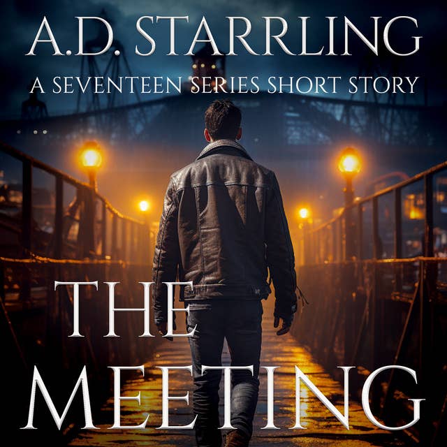 The Meeting: Seventeen Series Short Story 3