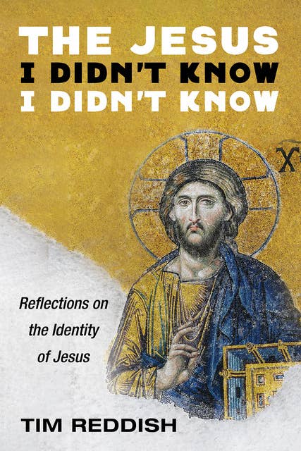 The Jesus I Didn’t Know I Didn’t Know: Reflections on the Identity of Jesus