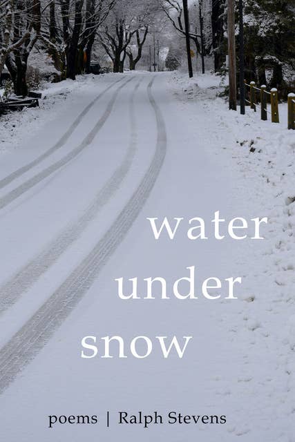 Water under Snow: Poems