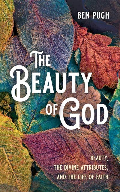 The Beauty of God: Beauty, the Divine Attributes, and the Life of Faith
