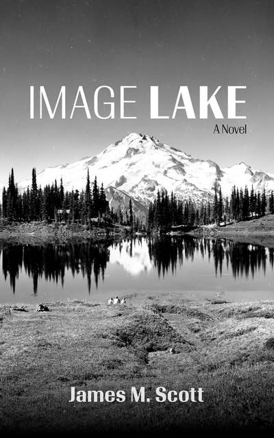 Image Lake: A Novel