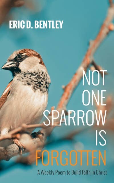 Not One Sparrow Is Forgotten: A Weekly Poem to Build Faith in Christ