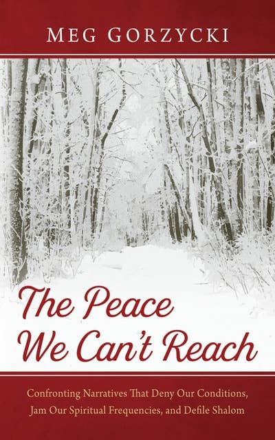 The Peace We Can’t Reach: Confronting Narratives That Deny Our Conditions, Jam Our Spiritual Frequencies, and Defile Shalom