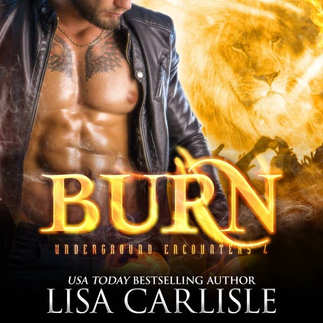 Burn: a shifter vs vampire enemies-to-lovers romance