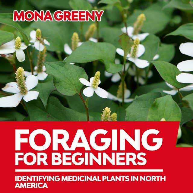 Foraging For Beginners: Identifying Medicinal Plants in North America