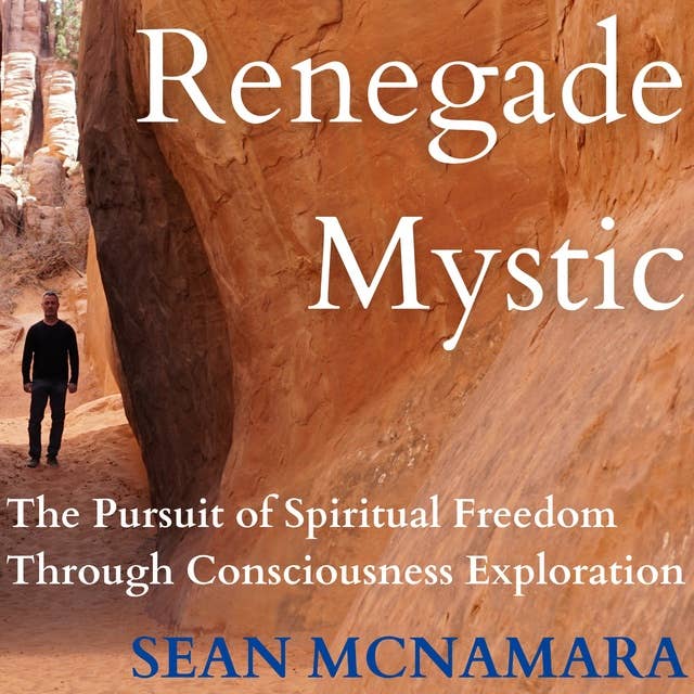 Renegade Mystic: The Pursuit of Spiritual Freedom Through Consciousness Exploration