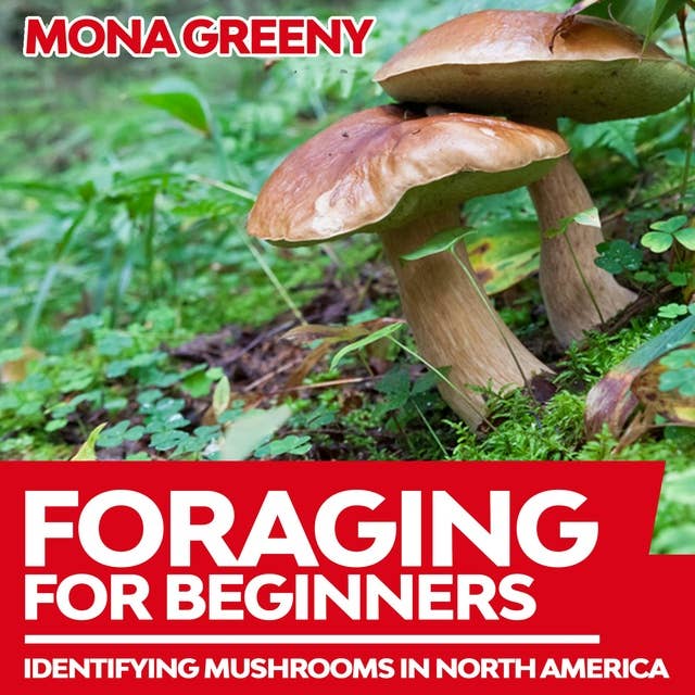 Foraging For Beginners: Identifying Mushrooms in North America
