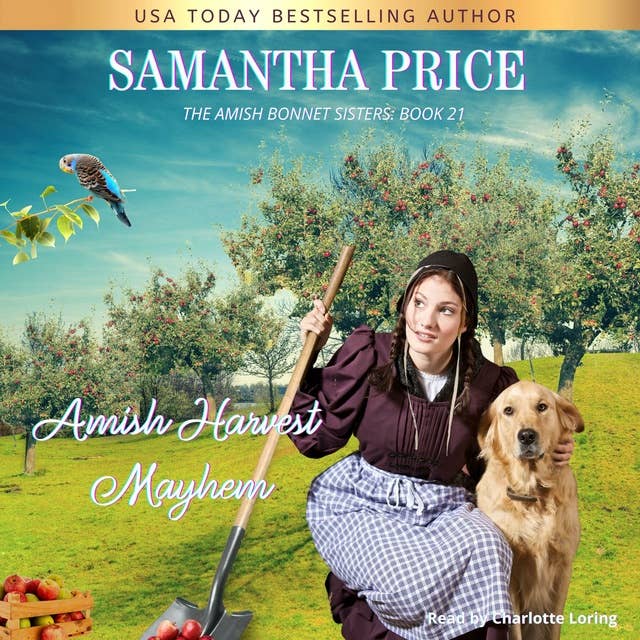 Amish Harvest Mayhem: Amish Romance