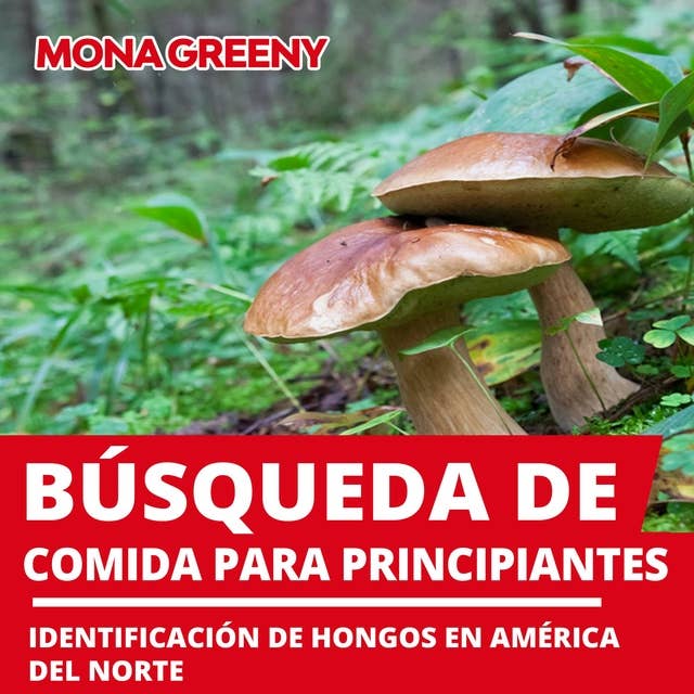 Búsqueda de comida para principiantes: Identificación de hongos en América del Norte