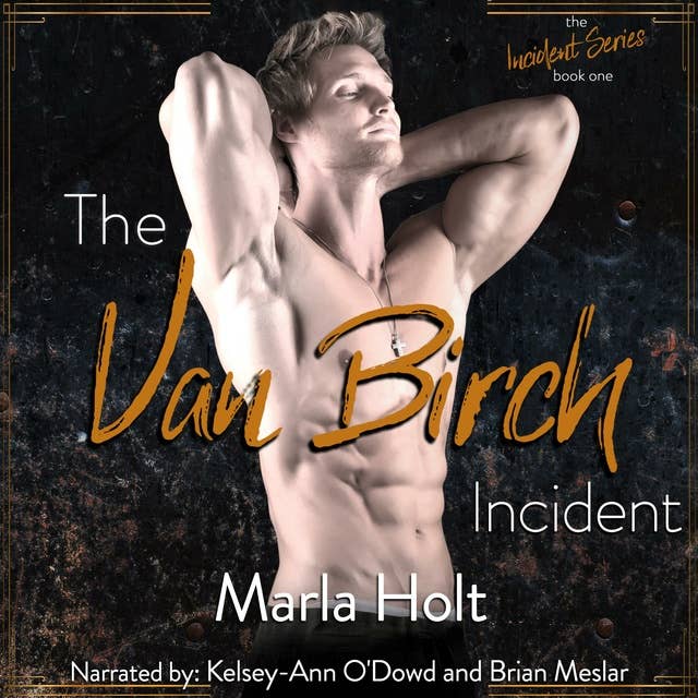The Van Birch Incident: A Forbidden Rockstar Romance