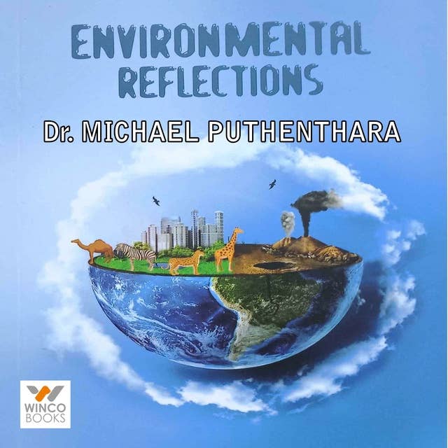 Environmental Reflections