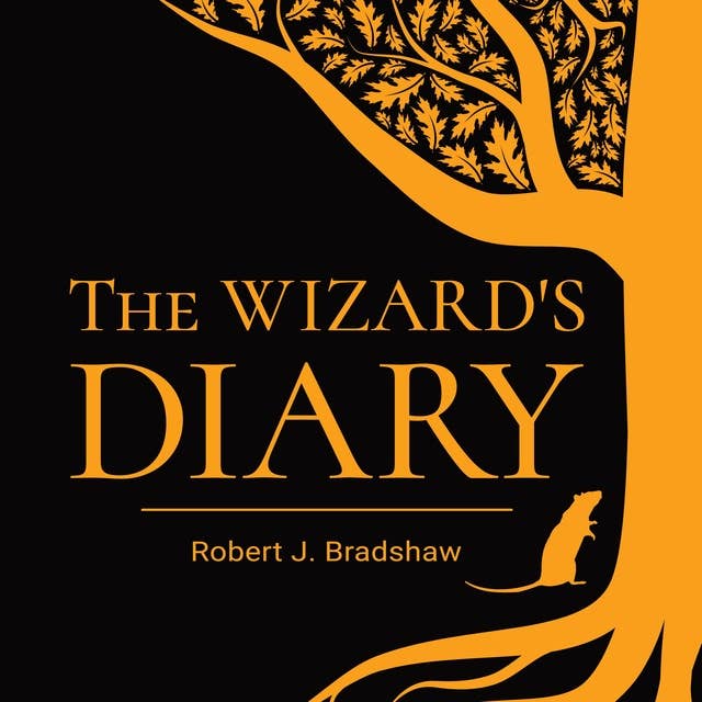 The Wizard's Diary Audiobook (Part 1)
