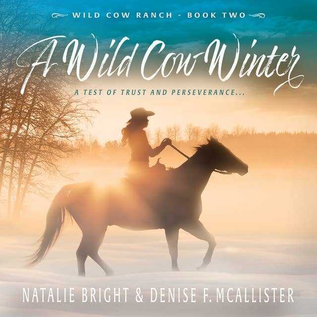 A Wild Cow Winter: A Christian Contemporary Western Romance Series