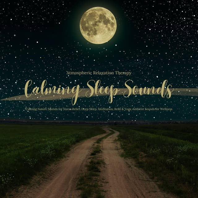 Calming Sleep Sounds - Ambient Relaxation Therapy - Calming Nature Sounds: Stress Relief, Deep Sleep, Meditation, Reiki & Yoga, Ambient Sounds for Wellness