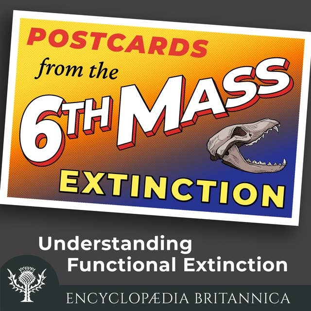 Understanding Functional Extinction