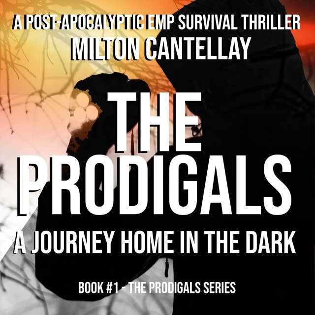 The Prodigals - A Journey Home in the Dark: A Post Apocalyptic EMP Survival Thriller