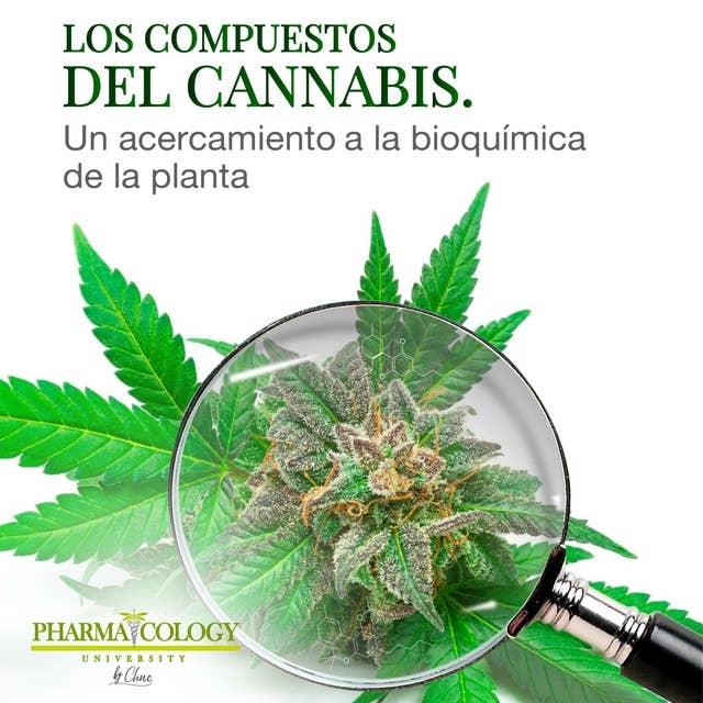 Los compuestos del cannabis: Un acercamiento a la bioquímica de la planta