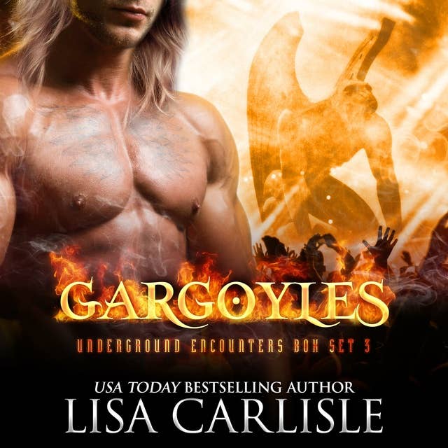 Gargoyles: A Shifter and Rockstar Romance Boxed Set