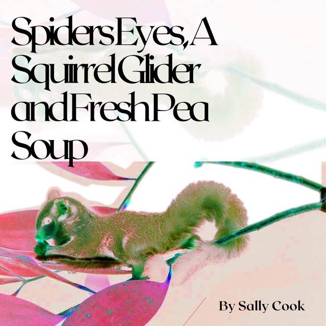 Spiders Eyes, A Squirrel Glider and Fresh Pea Soup