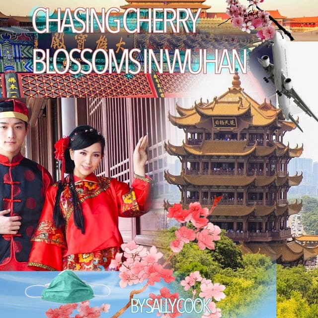 Chasing Cherry Blossoms in Wuhan