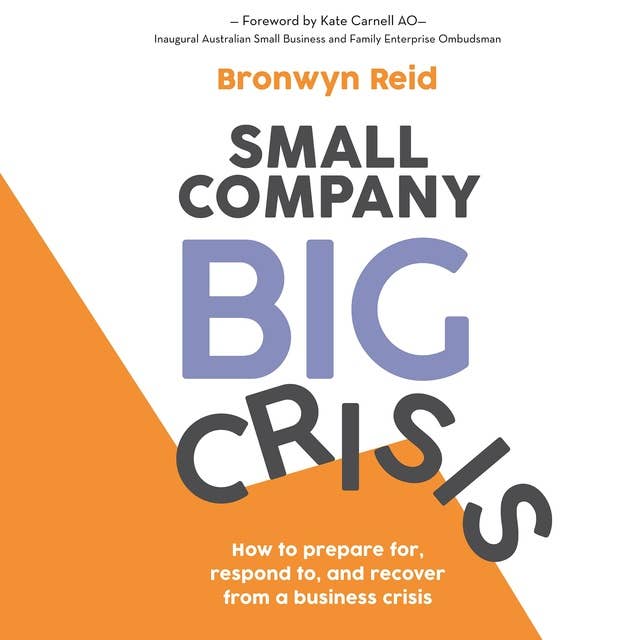 Cover for Small Company Big Crisis: How to prepare for, respond to, and recover from a business crisis