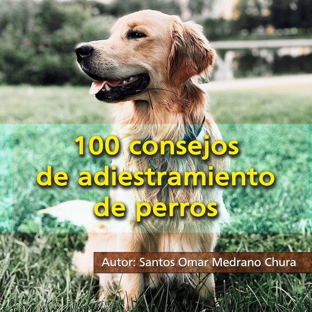 100 consejos de adiestramiento de perros