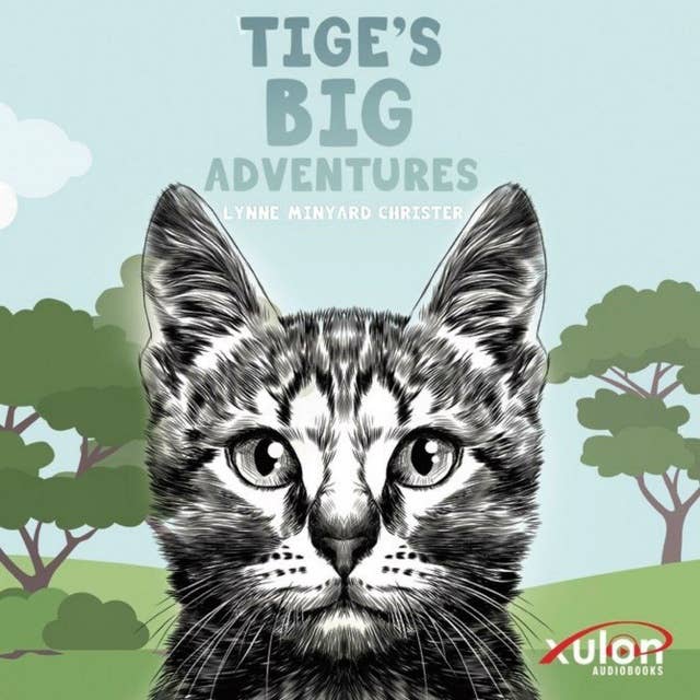 Tige's Big Adventures