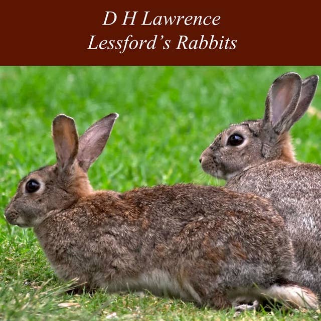 Lessford's Rabbits