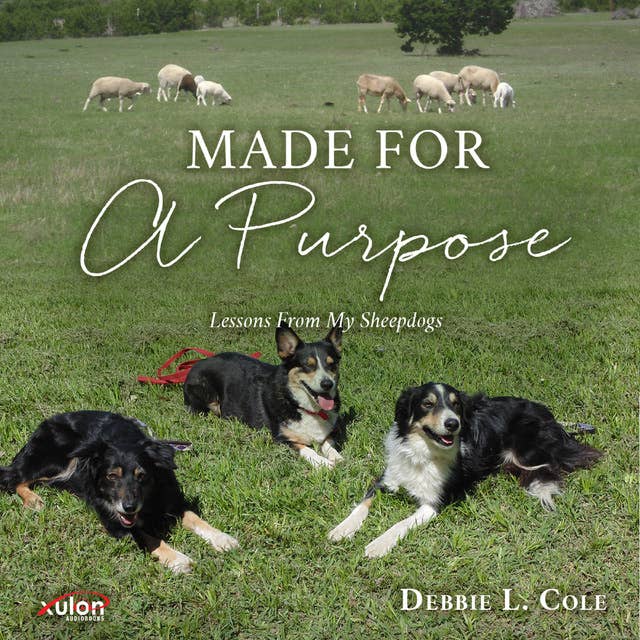 Made For A Purpose: Lessons From My Sheepdogs