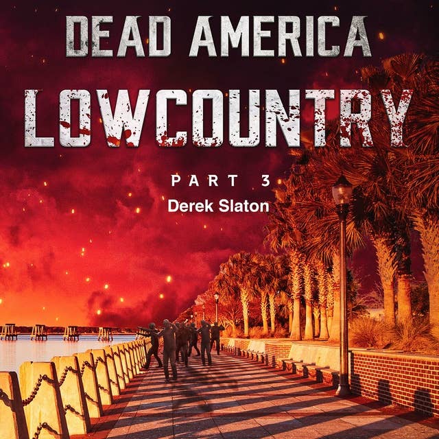 Dead America - Lowcountry Part 3