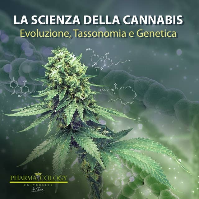 La scienza della cannabis: Evoluzione, tassonomia e genetica
