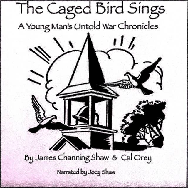 The Caged Bird Sings: A Young Man's Untold War Chronicles