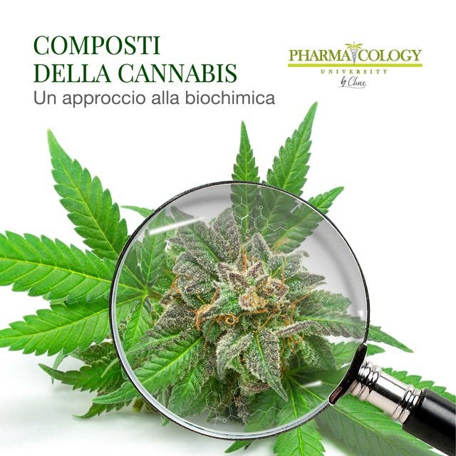 I composti della cannabis: Un approccio alla biochimica della pianta