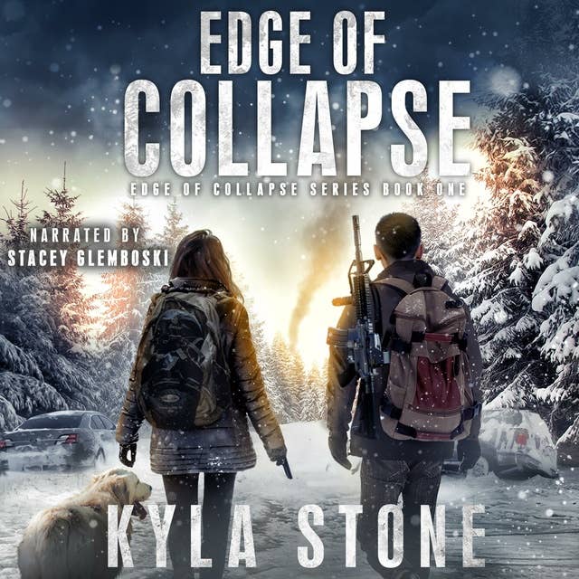 Edge of Collapse: A Post-Apocalyptic Survival Thriller 