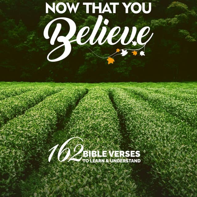 Now That You Believe: 162 Bible Verses To Learn & Understand