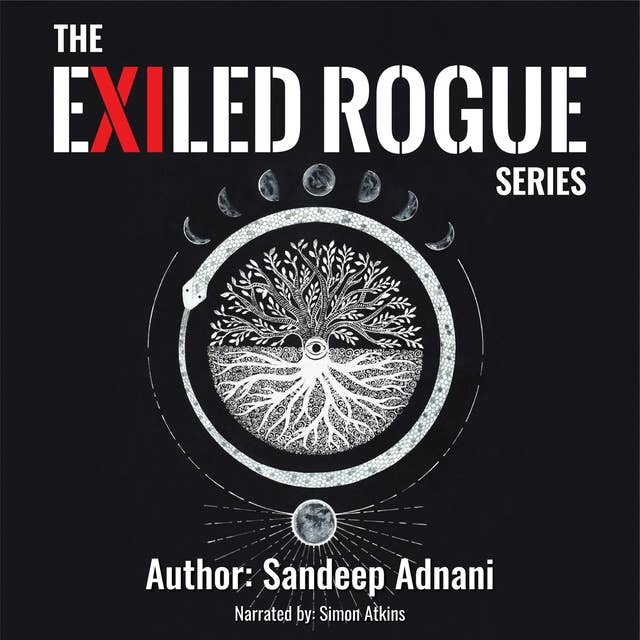 The Exiled Rogue Series