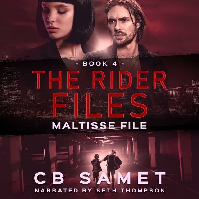 Maltisse File: The Rider Files Book 4