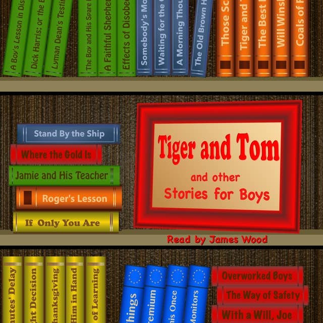 Tiger and Tom: And Other Stories for Boys