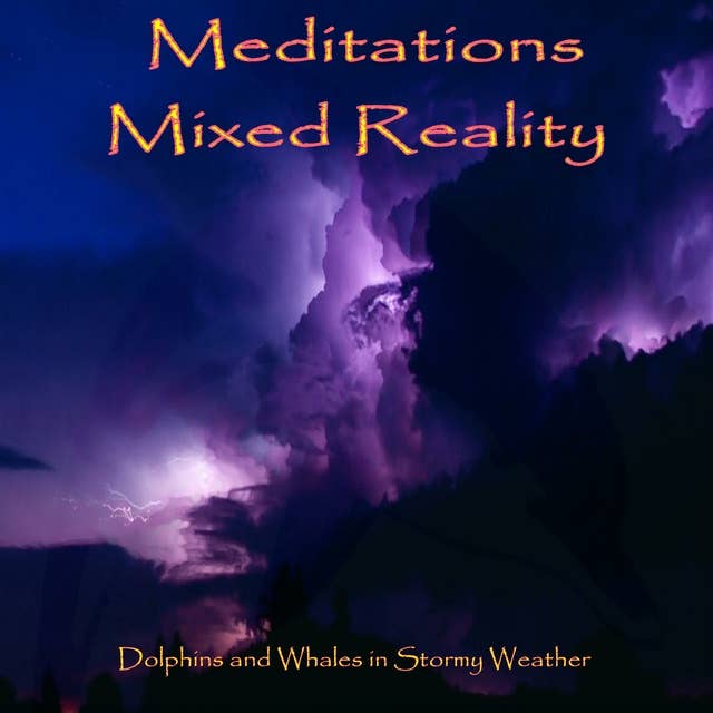 Meditations Mixed Reality - Dolphins and Whales in Stormy Weather