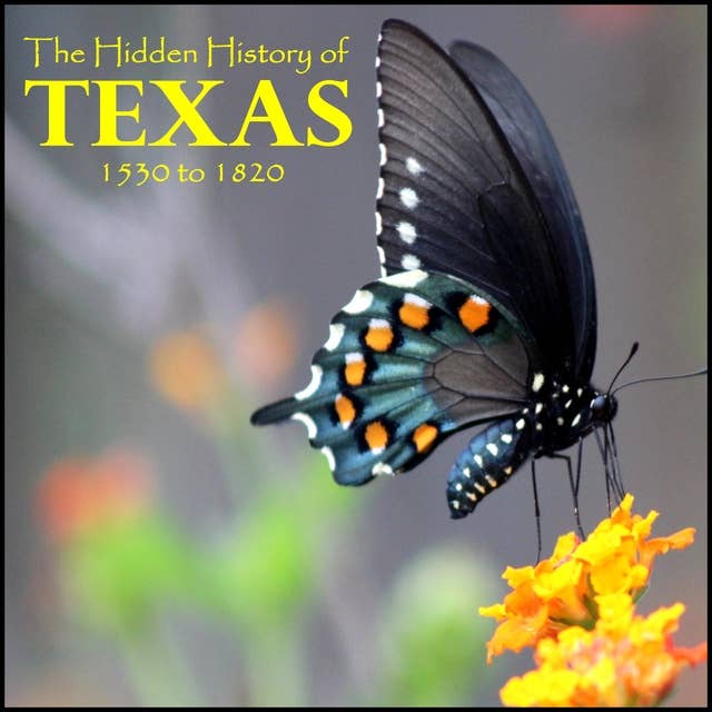 The Hidden History of Texas, Volume 1 - 1530 to 1820