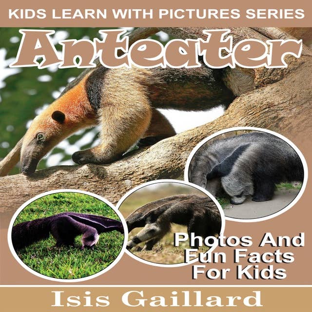 Anteater: Photos and Fun Facts for Kids
