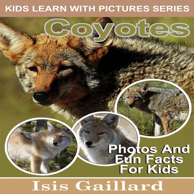 Coyotes: Photos and Fun Facts for Kids