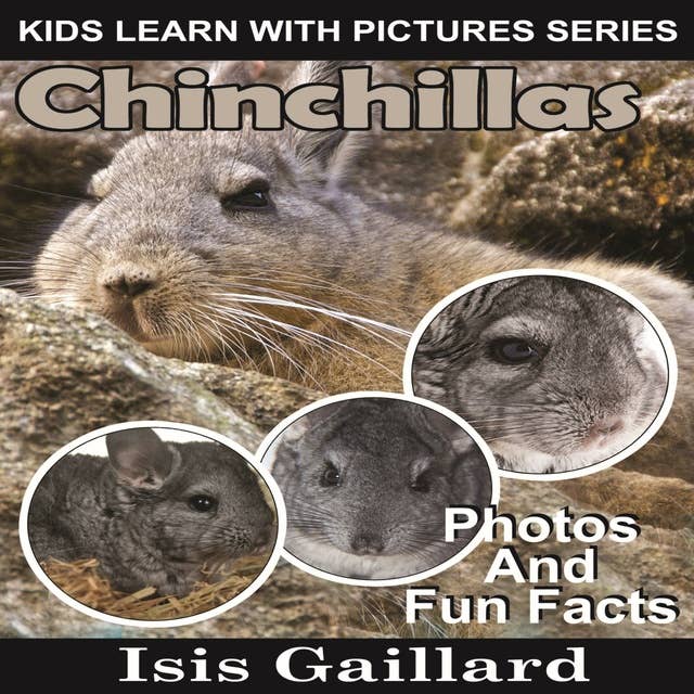 Chinchillas: Photos and Fun Facts for Kids