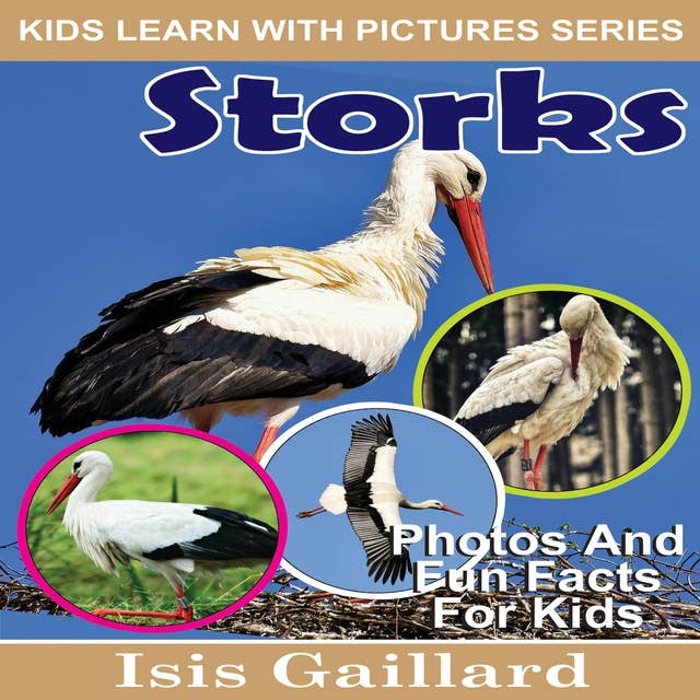 Storks: Photos and Fun Facts for Kids