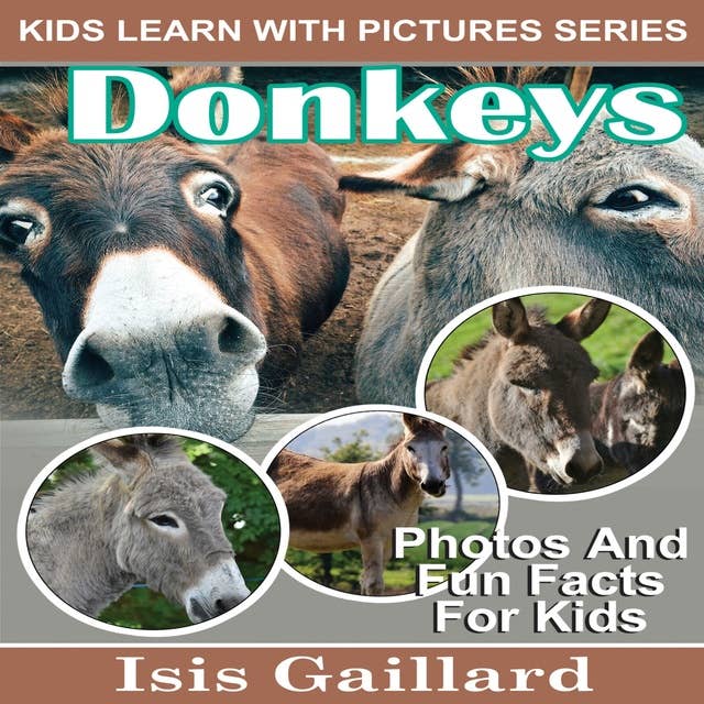 Donkeys: Photos and Fun Facts for Kids
