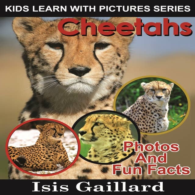 Cheetahs: Photos and Fun Facts for Kids