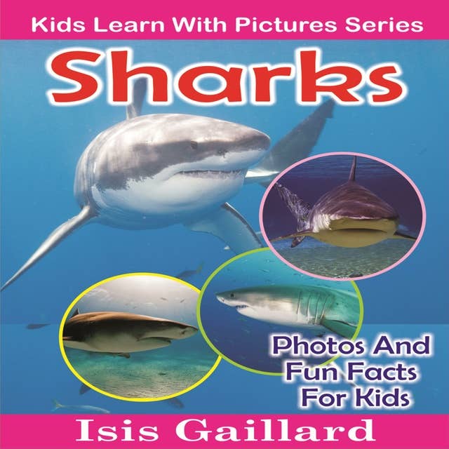 Sharks: Photos and Fun Facts for Kids